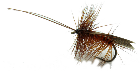 Sedge CL V Tailed Sedge Fly