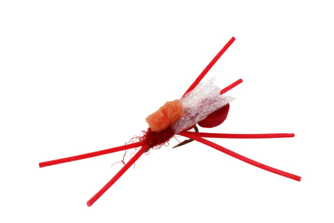 Ant Extended Foam Body Highlander Dryflyonline.com Discount Wholesale Flies Quality Trout Flies