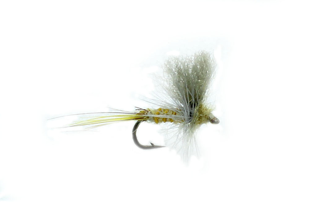 PMD Polly dun, Dry Fly. Trout Flies, Fly Fishing, PMD
