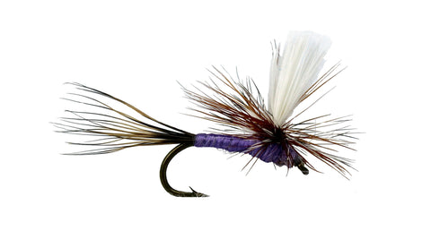 Purple Haze Parachute