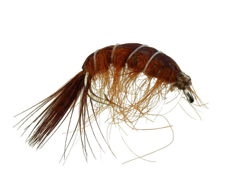 Scud Brown Trout Scud,Discount Trout Flies,Wholesale Trout Flies