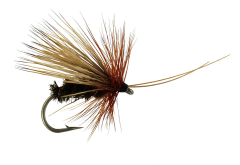 Sedge Peacock Sedge,Dry Fly,Discount Trout Fly, Wholesale Dry Fly