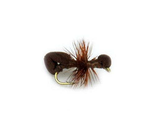 Brown Ant Foam Body Fly