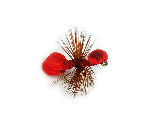 Red Ant Foam Body Fly