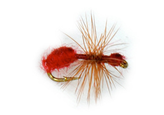 Ant Furry Body-Red,Trout Flies,Ants for Fly Fishing,Discount Flies