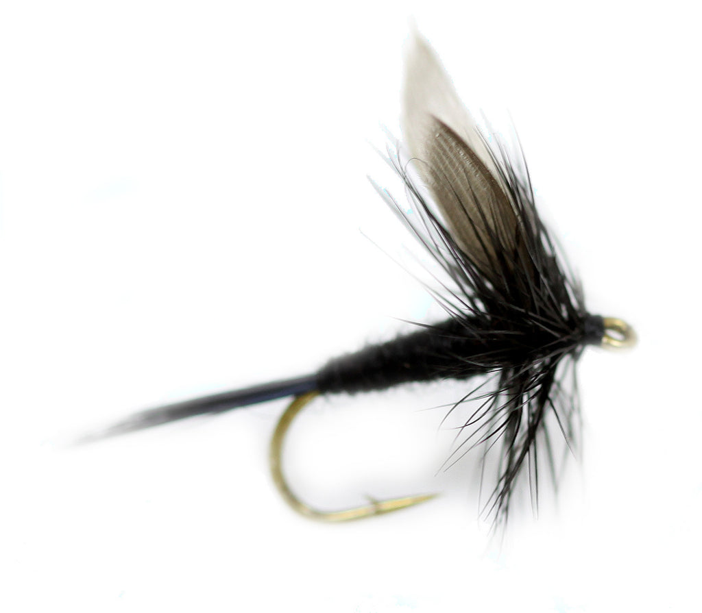 Black Gnat Dry Flies, One Dozen Nymph Flies for Trout, Bass, Salmon and  More Freshwater Fish, Sizes 10-20 Available