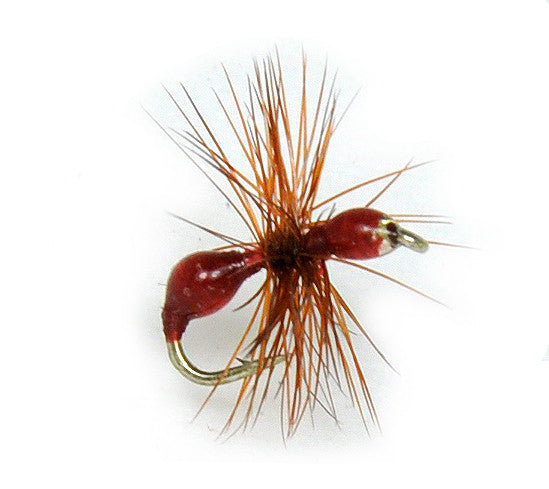 12x Winged Red Ant Dry Flies – Trout Flies Size 12/14/16 – Hand Tied