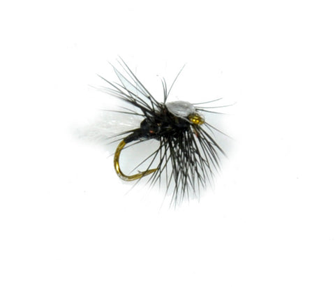 Midge Adult (Black)