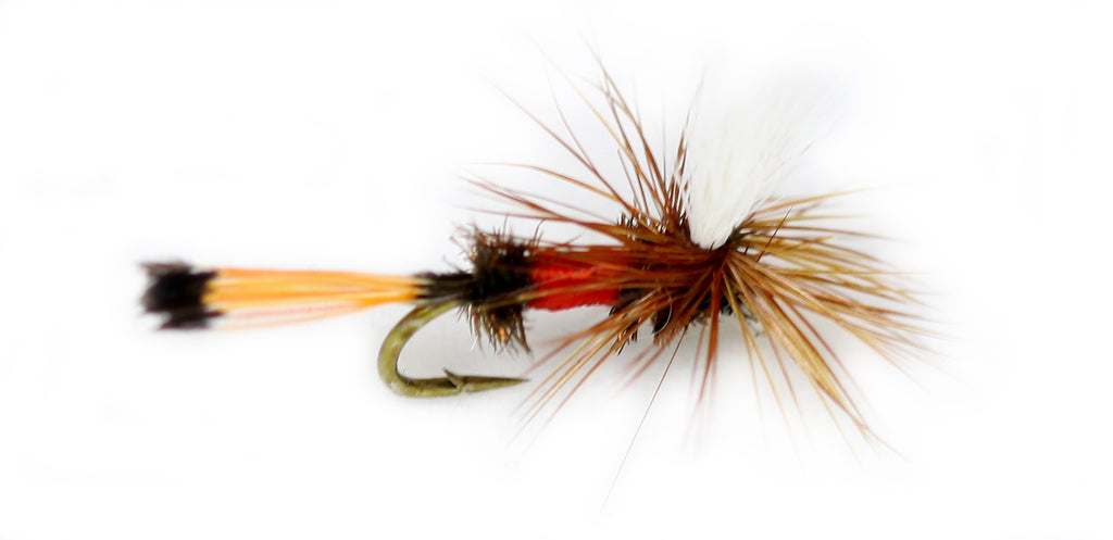 Royal Coachman Wet, Discount Trout Flies for Fly Fishing