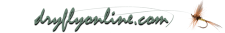Dryflyonline.com logo