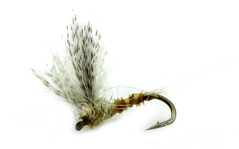 CDC Comparadun Biot Light Cahill Trout Fly