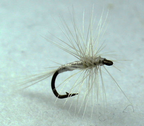 Cream Midge Dryflyonline.com Samaki Flies Fly Fishing 