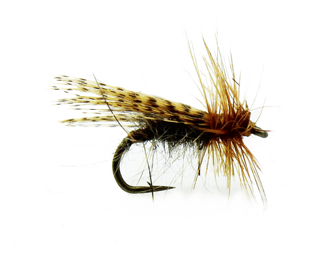 Spent Partridge Caddis Fly