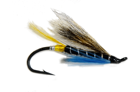 Blue Charm,Salmon Fly, Classic Salmon Fly Pattern for Fly Fishing