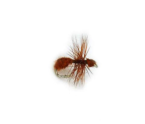 Brown Ant Fur Body Fly 