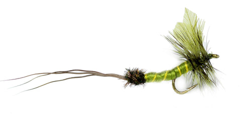 Green Drake Extended Body Dry Fly Pattern