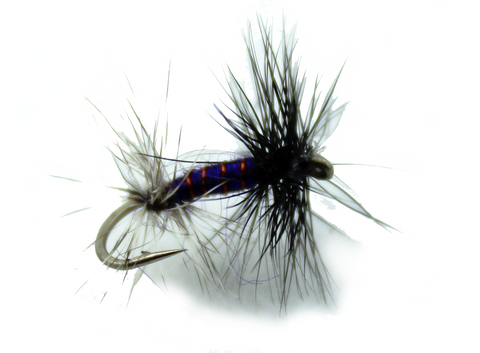 Renegade Purple Dry Fly,Discount Trout Flies,Wholesale Trout Flies, Dryflyonline.com